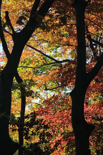11月18日の写真