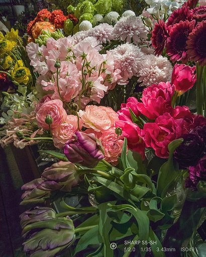 【好きなもの】通り道の花屋さん