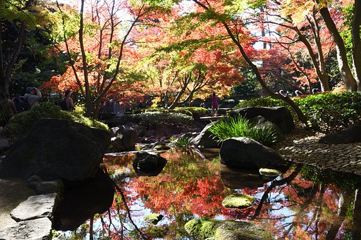 紅葉