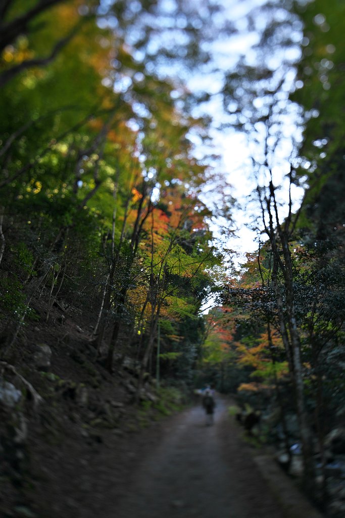 山間部にて