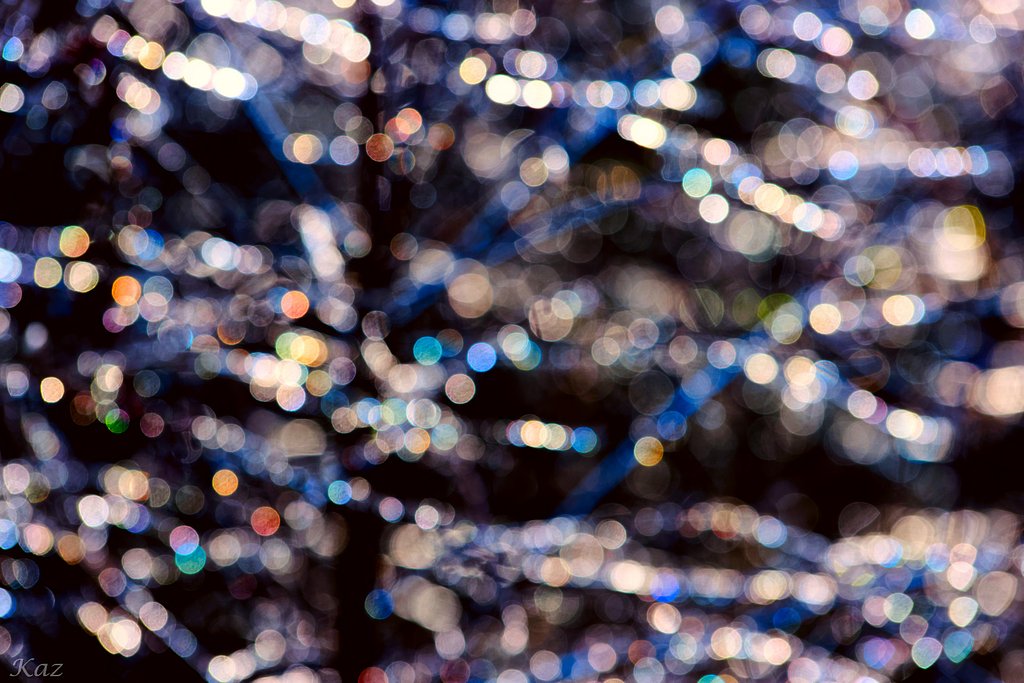 Backyard tree illumination