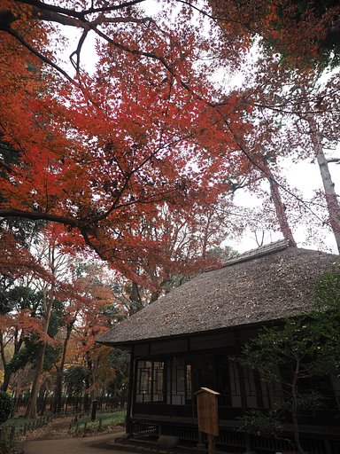 「芦花恒春園」