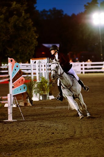 Equestrian