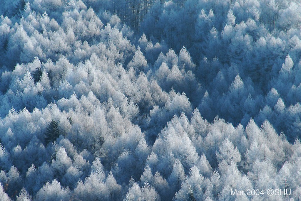 霧氷