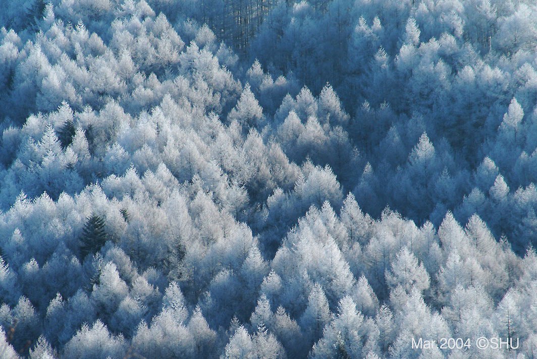霧氷