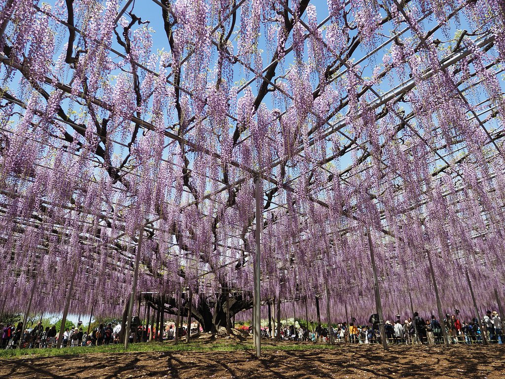 ◎Pana-LEICA DG SUMMILUX 12mm/F1.4 ASPH.