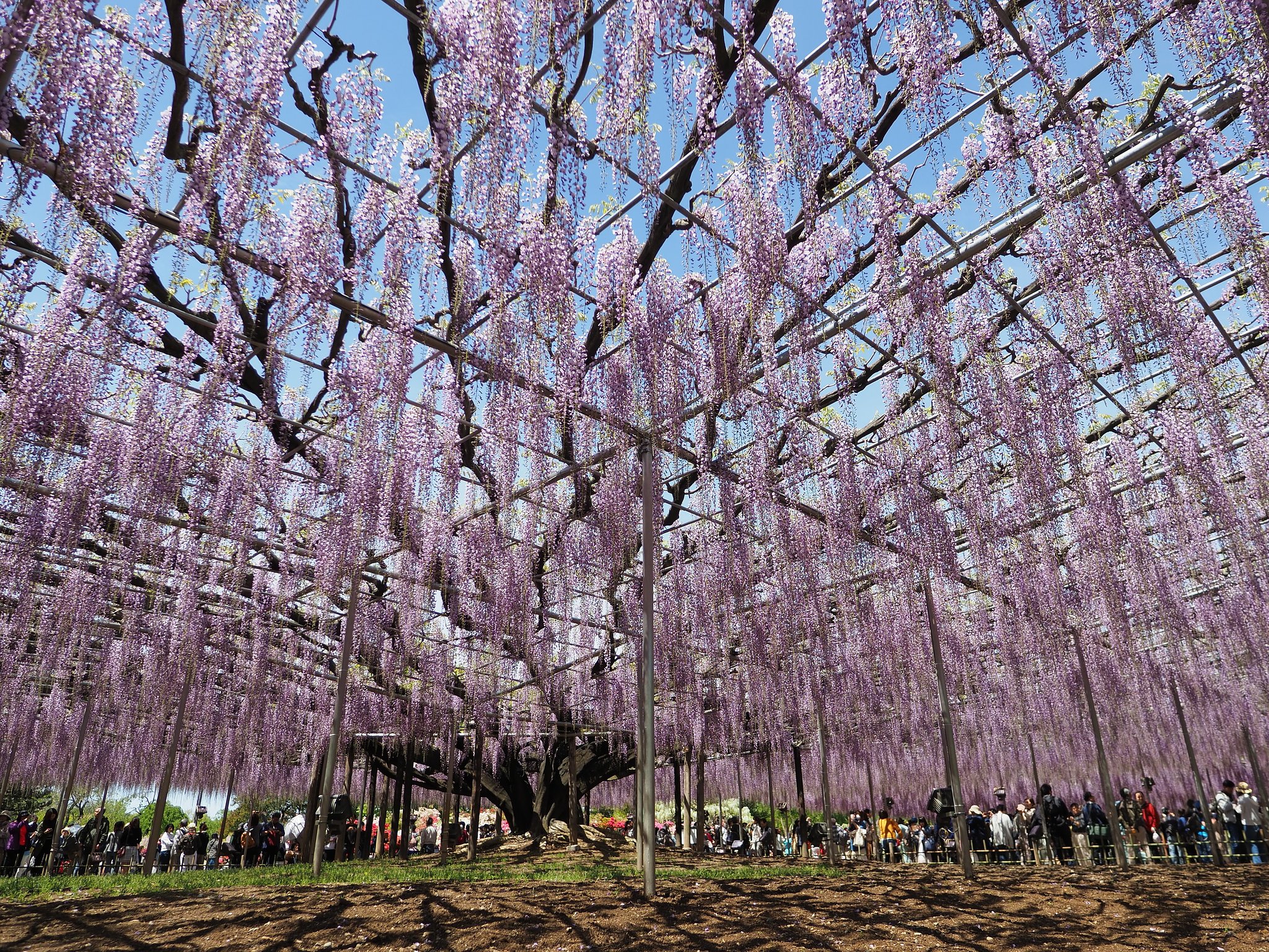 ◎Pana-LEICA DG SUMMILUX 12mm/F1.4 ASPH.