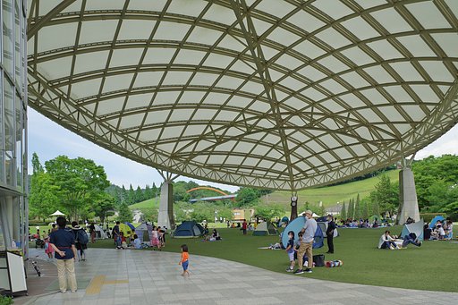 家族単位で散らばっている様子。