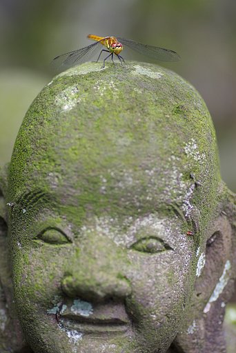 山田はん