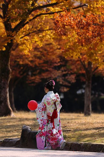 11月9日の写真