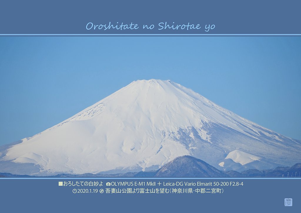 おろしたての白妙よ