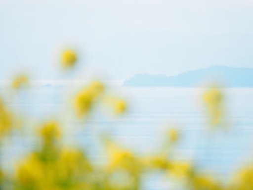 春の海２