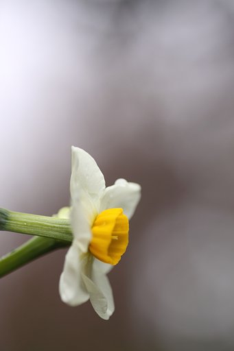 1月23日の写真