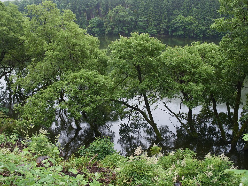 那賀川