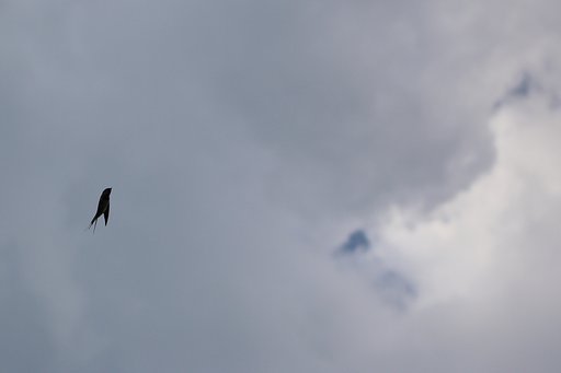 F-15イーグル
