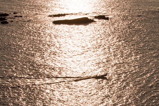 光の海を往くⅠ
