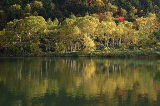 紅葉情報3