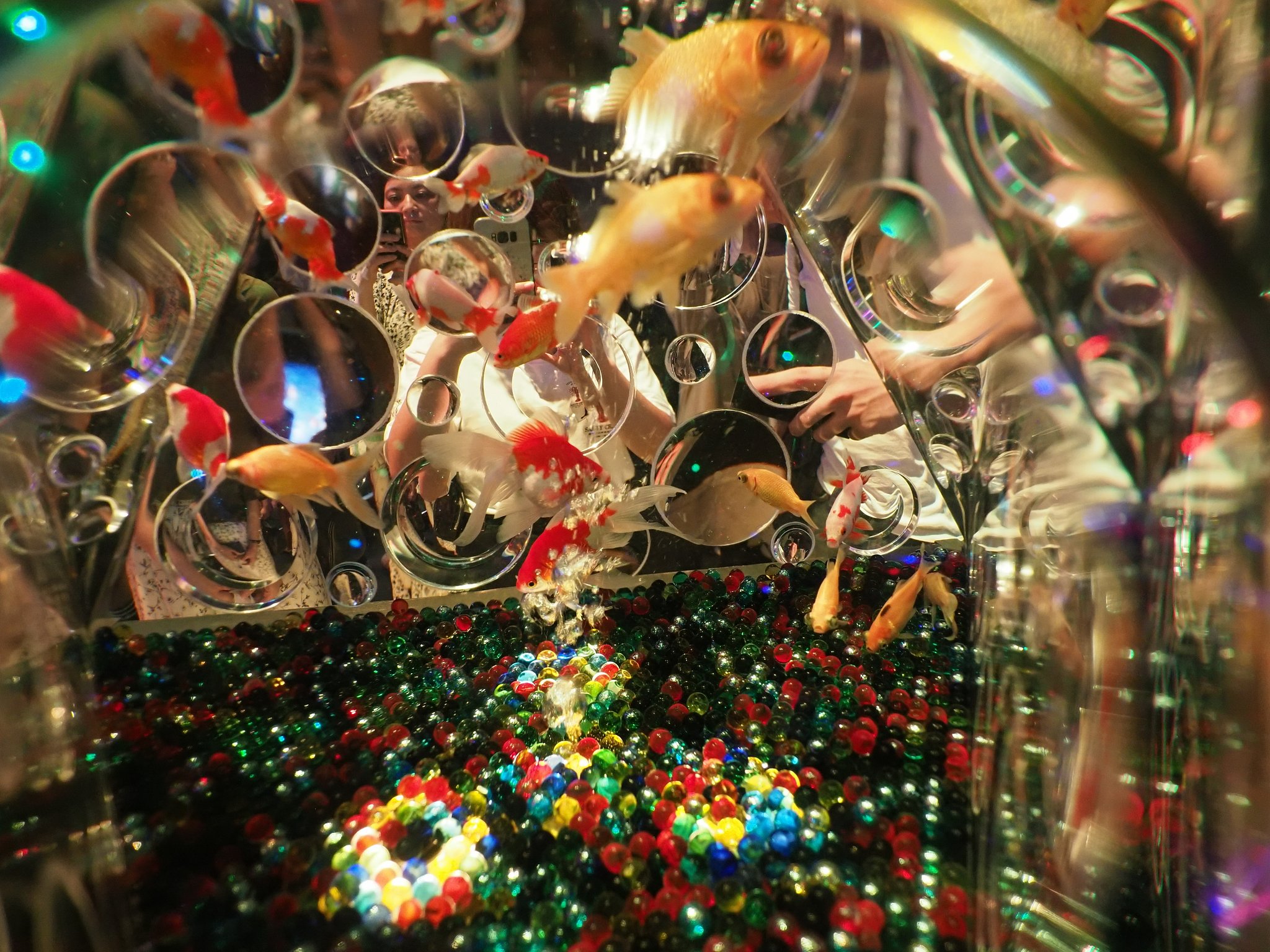 アートアクアリウム