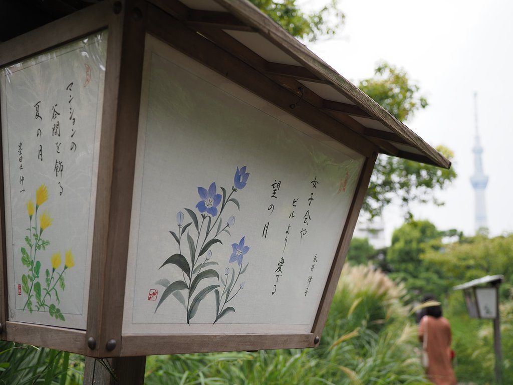 名月と・・・