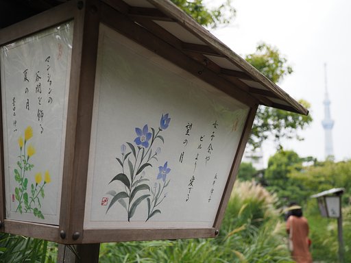 名月と・・・