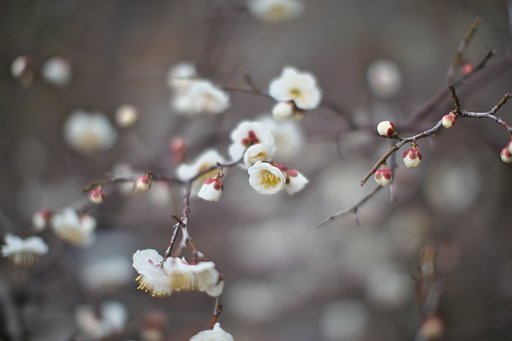1月27日の写真