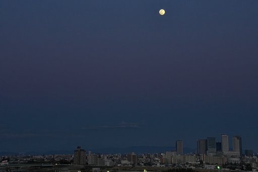 月が出たぁ~