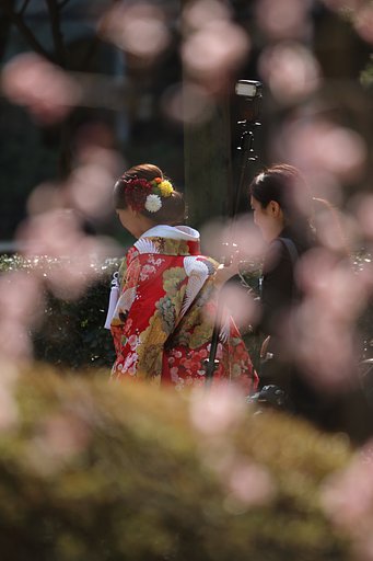 如月の花嫁に光降らせ♪