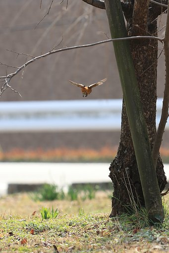 よっこらせっ、と