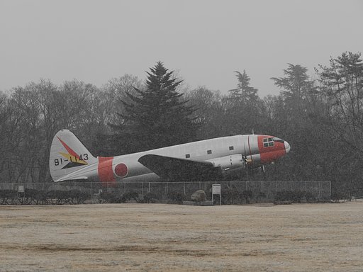 雪に佇む天馬