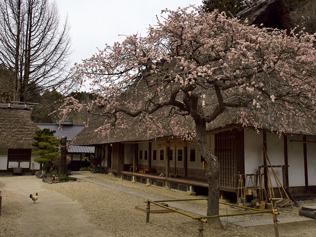 里山の春