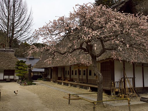 里山の春