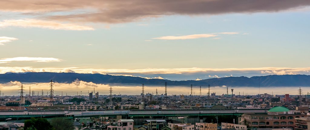 【好きなもの　山景】小さな紫