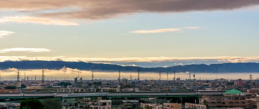 【好きなもの　山景】小さな紫
