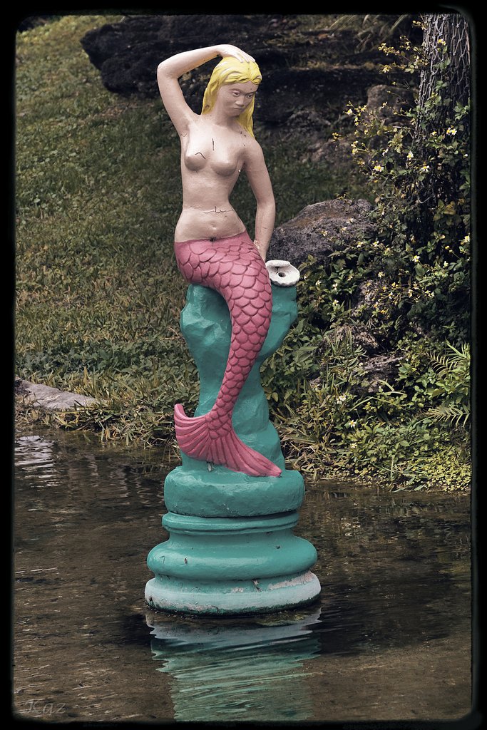 人魚姫