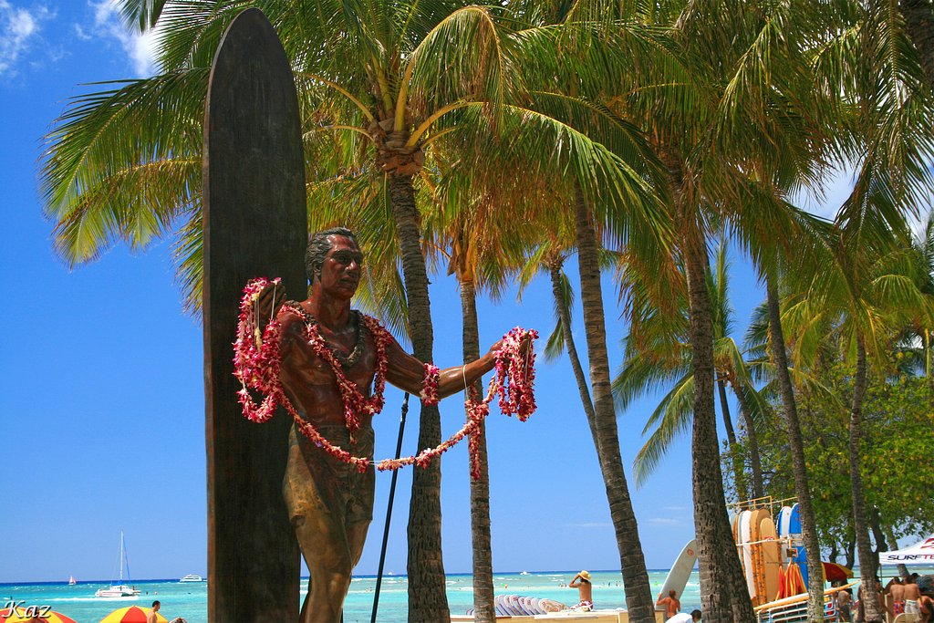 Surfer 3