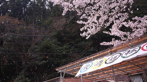 さよならだけが人生でげす