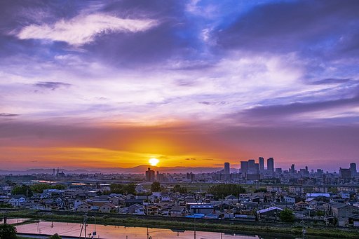 【花・空のある風景】日の出３分後
