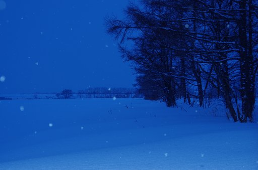 小雪まじり
