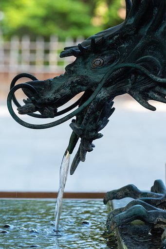 OLYMPUS M.60mm F2.8 Macro