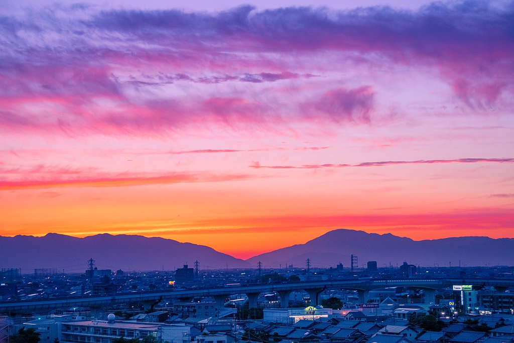 【花・空のある風景】今日の夕日