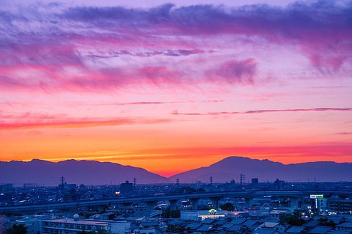 【花・空のある風景】今日の夕日