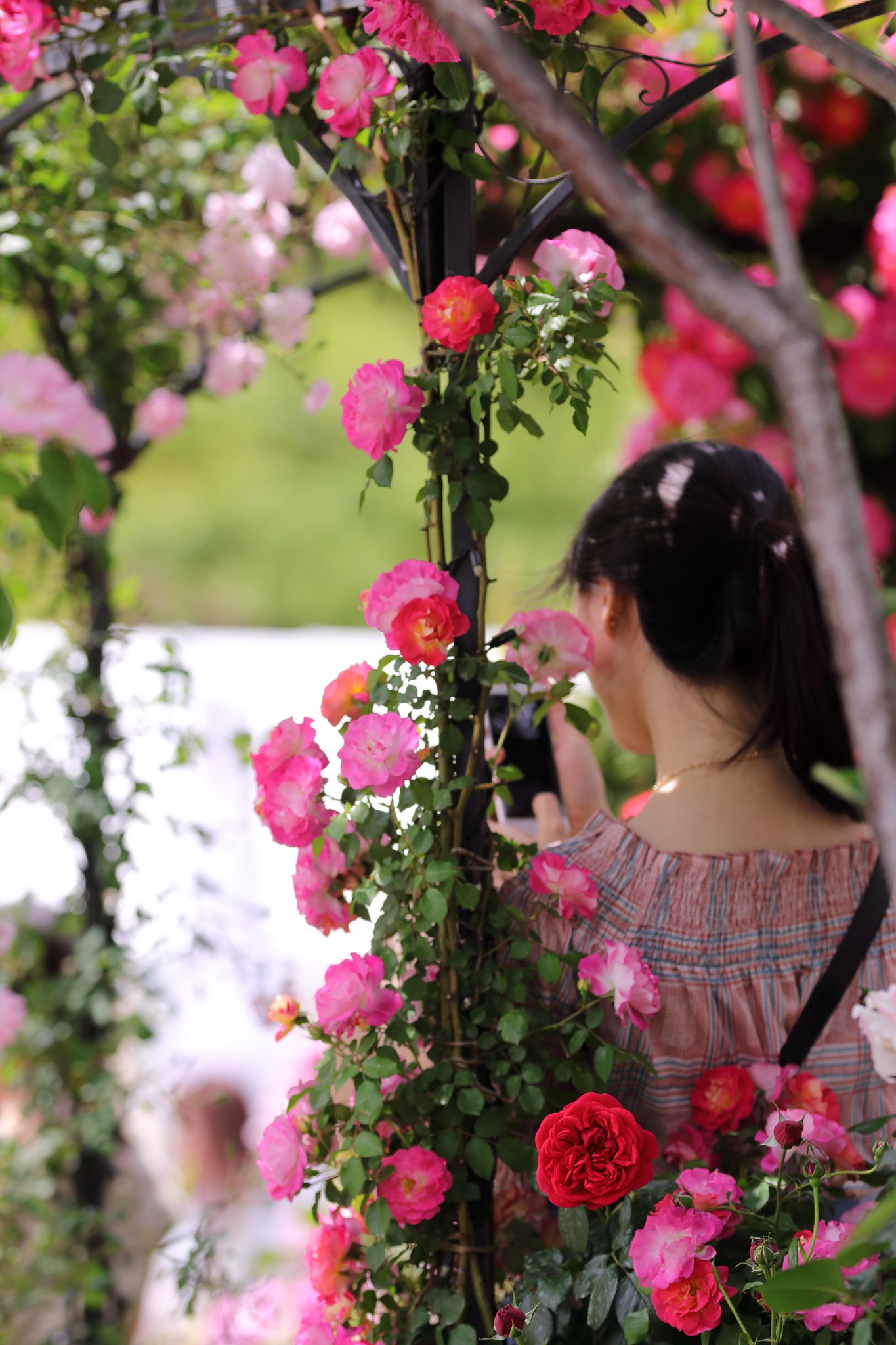 君は薔薇より美しい　2019