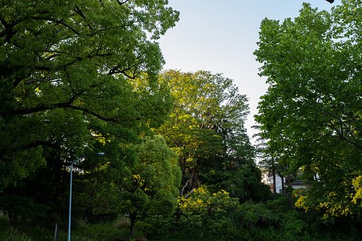 XF35mmF1.4 R