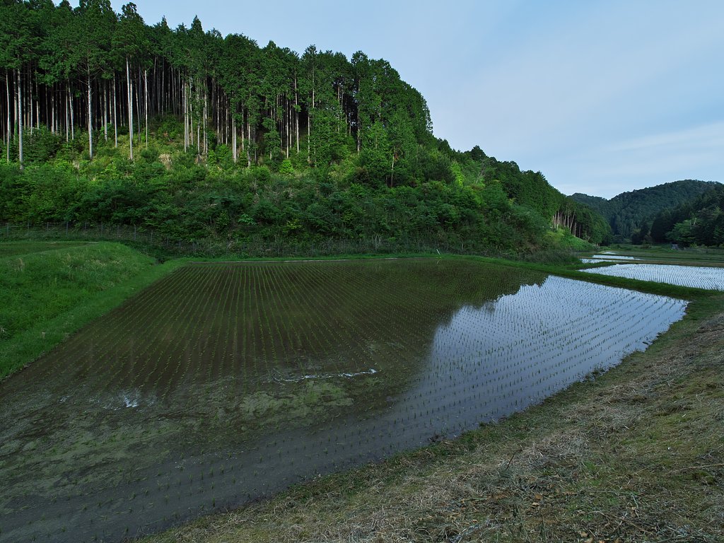 山里