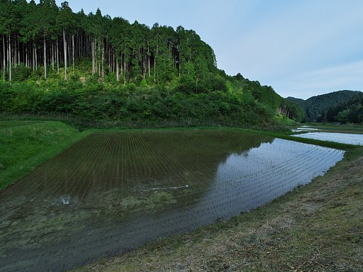 山里