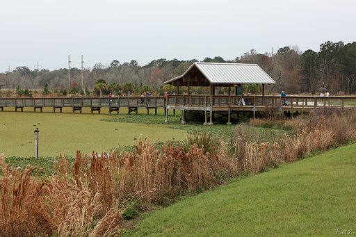 Sweetwater Wetlands Park 2