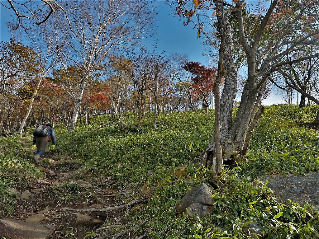 秋山登山