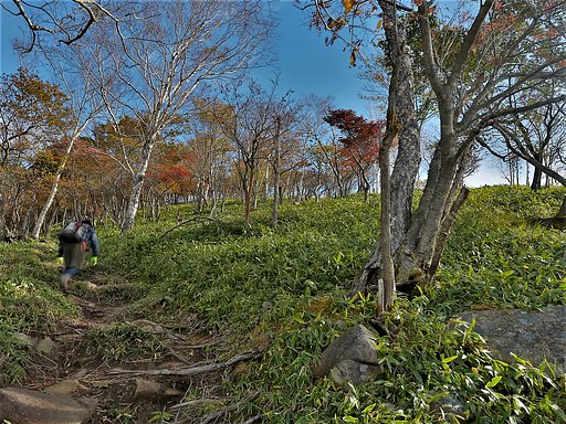 秋山登山