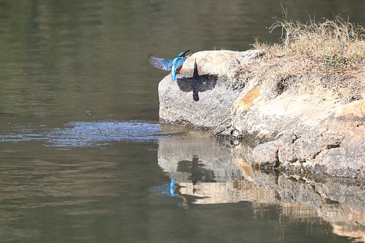 王家の紋章