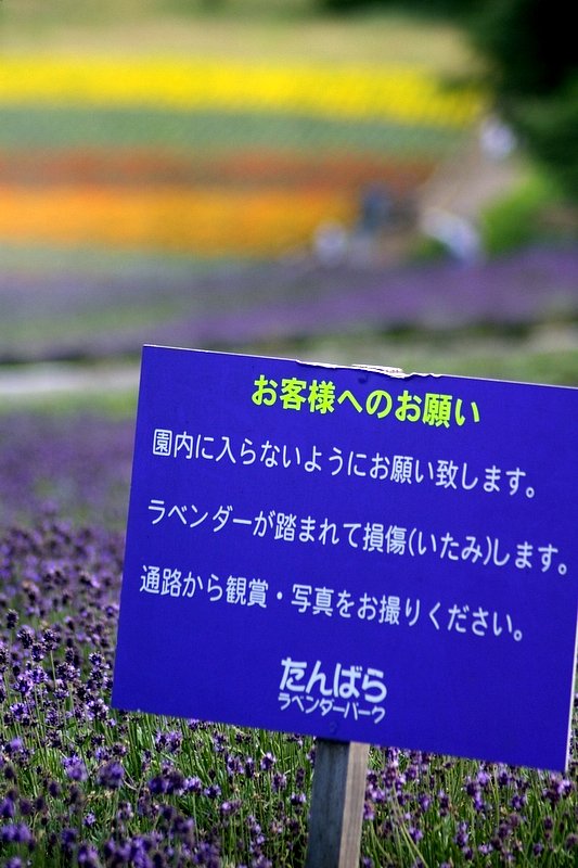 背景シリーズ　＃２　ネタバラシ編